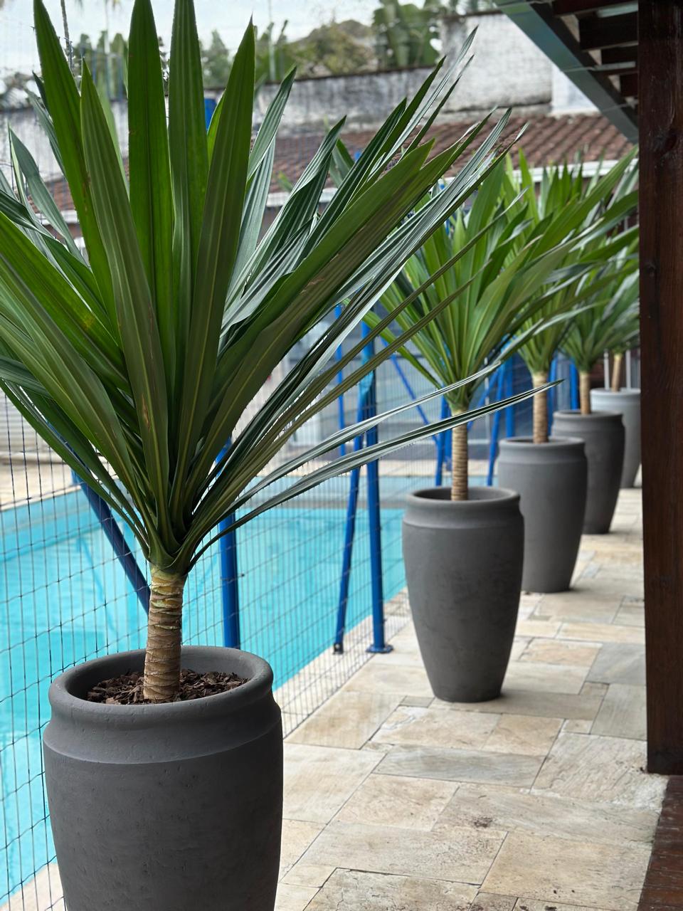 Área externa com jardim e piscina